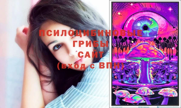 соль курить ск Лагань